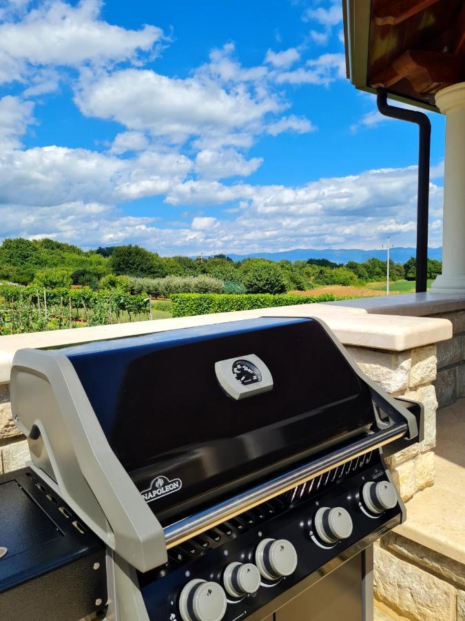 Holiday Apartment Villa Bianca Pazin Kültér fotó