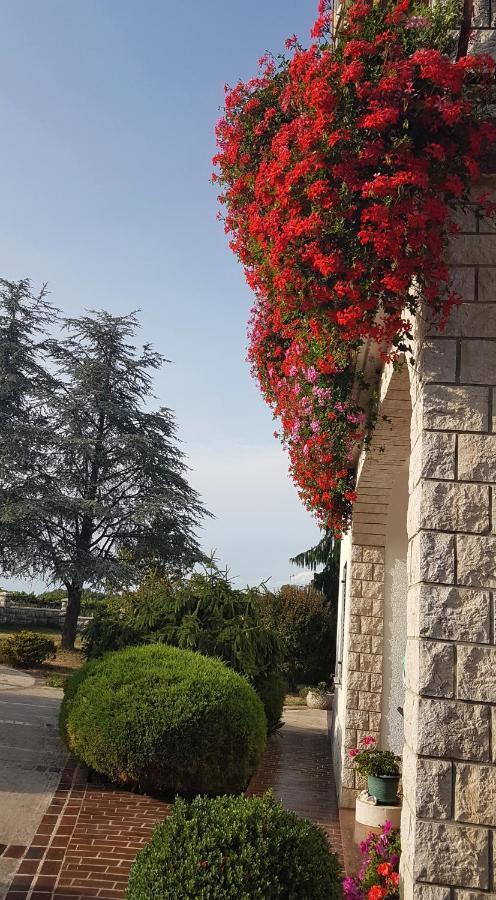 Holiday Apartment Villa Bianca Pazin Kültér fotó